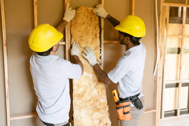 Reliable Homeland Park, SC Insulation Removal & Installation Solutions